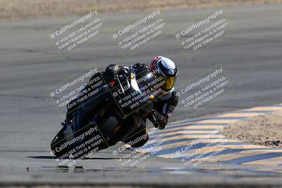 media/Mar-12-2022-SoCal Trackdays (Sat) [[152081554b]]/Turn 10 (130pm)/
